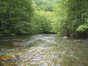 un superbe spot de pche  la mouche sur la baigo river