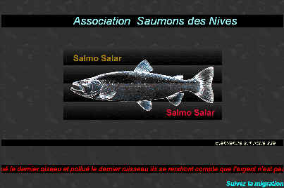 site de peche a la mouche ASSO SAUMON DES NIVES
